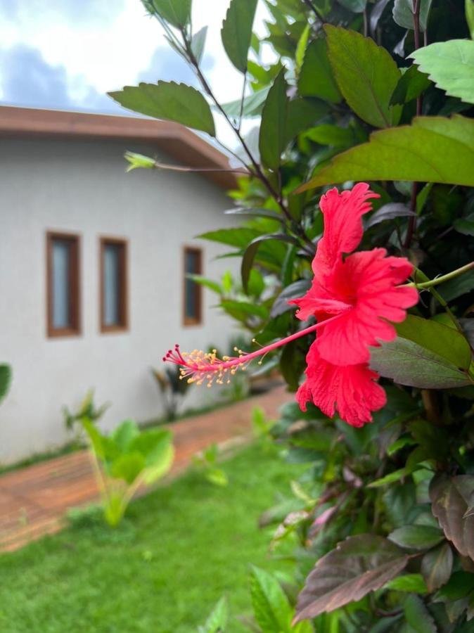 Pousada Maresia Fernando de Noronha Eksteriør billede